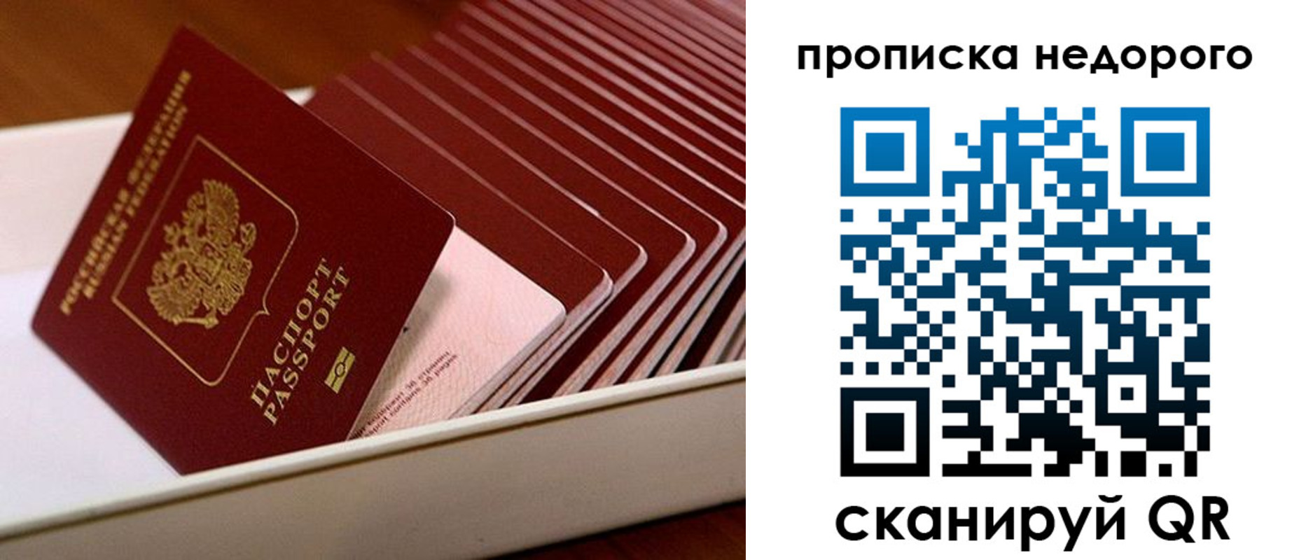 прописка паспорт в Рыльске